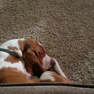 Meet your Posher, Chloe